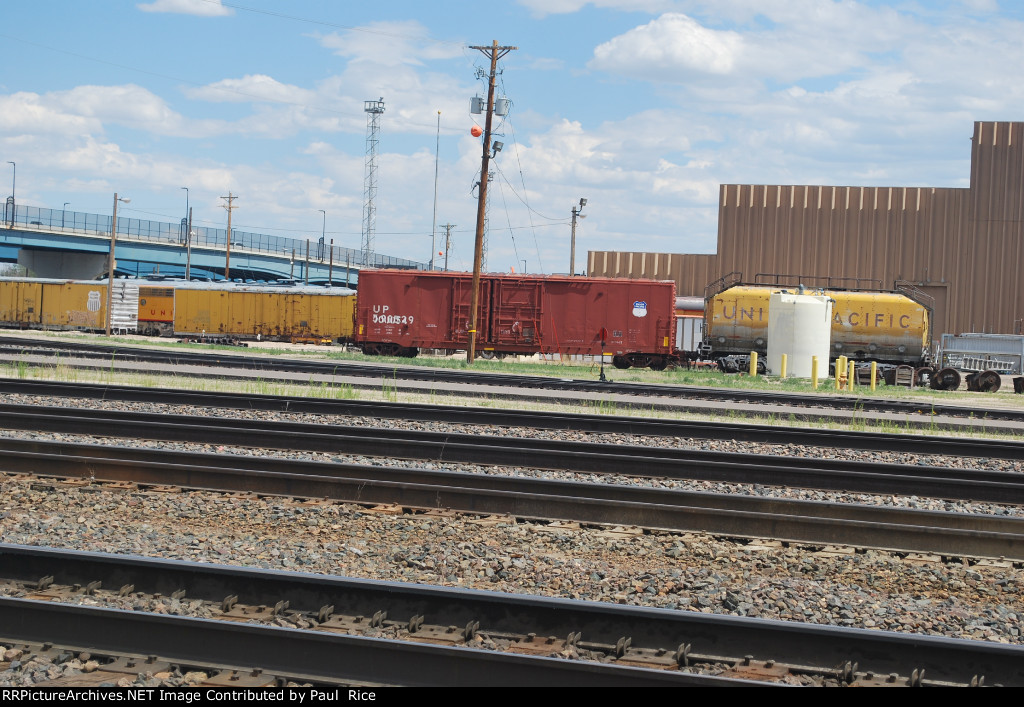 UP Box Cars In Yard